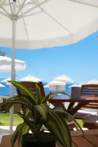 Zest Exclusive & Spa - 88