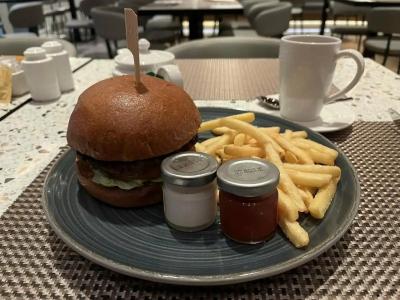 Hilton Garden Inn Dubai Mall Of The Emirates - 36