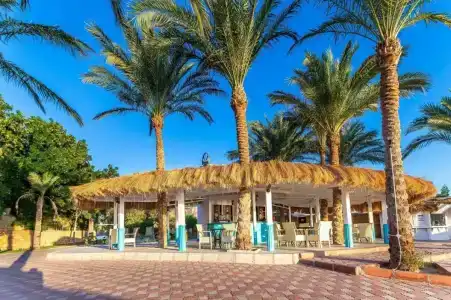 Caribbean World Resort Soma Bay - 67