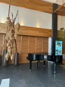 Sugar Beach Mauritius - 45