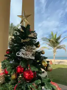 Hilton Ras Al Khaimah Beach Resort - 13