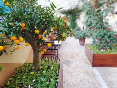 Antea Palace & Spa - 12