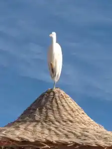 Gafy Resort Aqua Park - 14