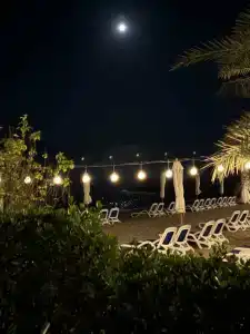 Al Bahar & Resort - 86