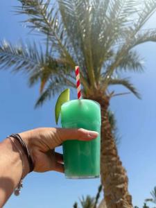 Desert Rose Resort - 66