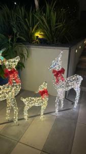 Radisson Dubai, Damac Hills - 26