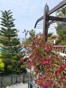 Justiniano Theodora Resort - 74
