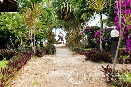 Phangan Beach Resort - 18
