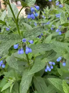 Empire Beach Resort - 37