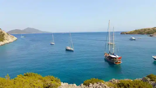 Bitez Garden Life - 58