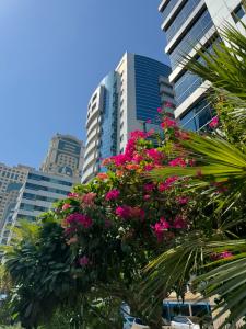 TIME Oak & Suites - 26
