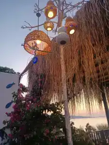 Blue Dreams Resort - 77