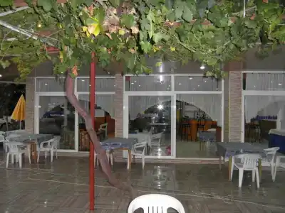 Aysev - 29