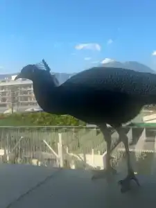 The Lumos Deluxe Resort & Spa - 60