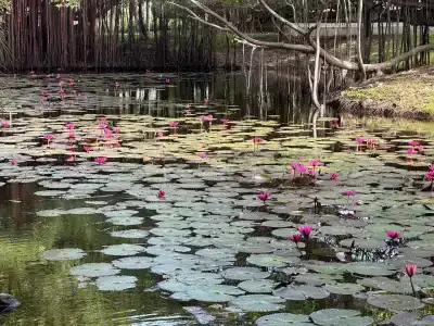 The Leela Resort & Spa Pattaya - 5