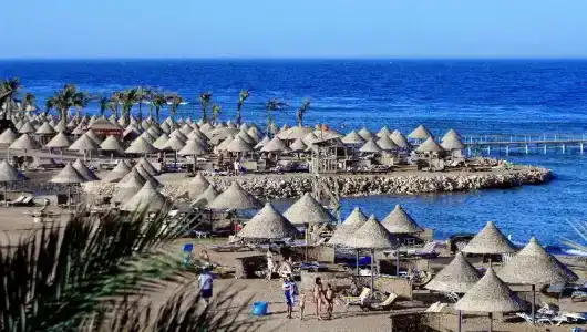 Parrotel Beach Resort - 19