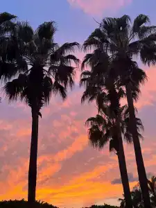 Miracle Resort - All Inclusive - 94