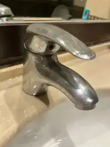 Paloma Perissia - 50