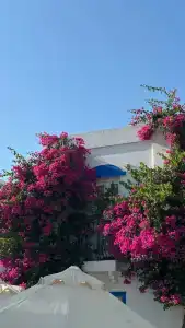 Paloma Family Club - 66