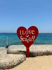 Seagull Beach Resort - Families and Couples Only - 59