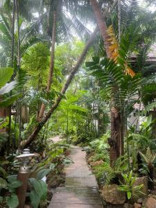 Muang Samui Spa Resort - SHA Extra Plus - 14