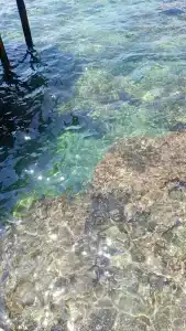 White City Resort - Ultra All Inclusive - 78