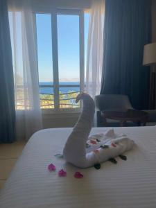 Grand Rotana Resort & Spa - 20