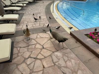 Emirates Palace Mandarin Oriental, Abu Dhabi - 66