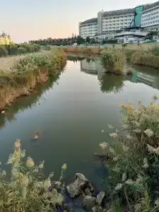 Senza The Inn Resort & Spa - 11