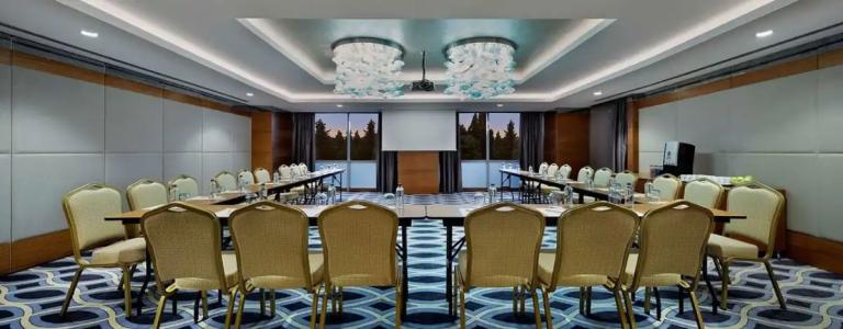 DoubleTree by Hilton Istanbul Topkapi - 65