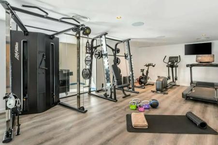 Vibra Palma Cactus - 22