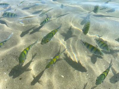 Radisson Blu Resort, Fujairah - 64