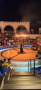 Sunrise Remal Resort - 48