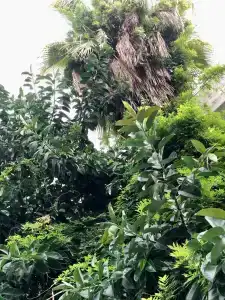 Kleopatra Atlas - Adults Only - 57