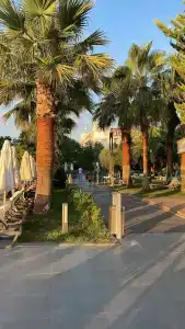 Terrace Elite Resort Ultra All Inclusive - 28