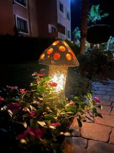 Rehana Sharm Resort - Aquapark & Spa - Couples and Family Only - 90