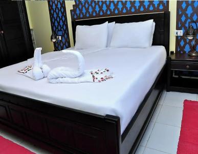 New Star Zamalek - 2