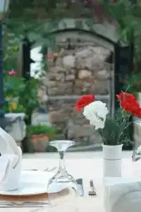 Dogan - 60