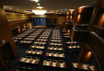 Holiday Inn Ankara-Kavaklidere, an IHG - 89