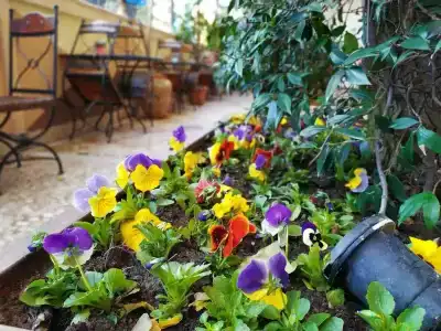 Antea Palace & Spa - 45