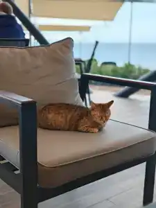 Seven Seas Life - Ultra All Inclusive & Kids Concept - 45