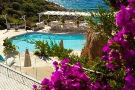 Peninsula Gardens - Adults Only - 76