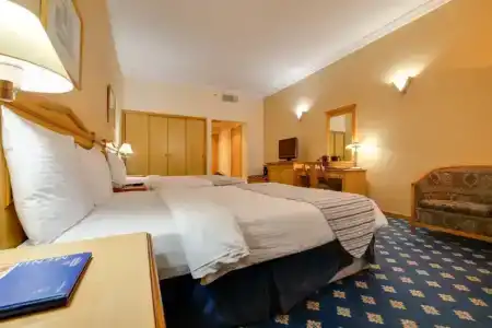 Grand Continental Flamingo - 81