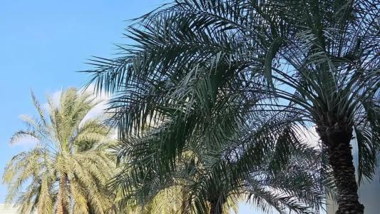 Premier Inn Abu Dhabi Airport (Business Park) - 25