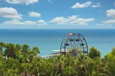 Delphin Deluxe Resort - 83