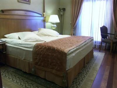 The Central Palace Taksim - 15