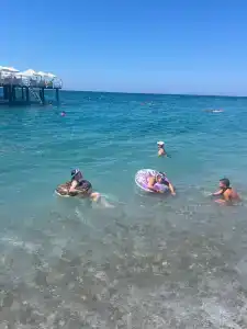 Botanik Platinum - 49