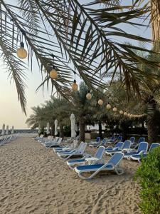 Al Bahar & Resort - 46