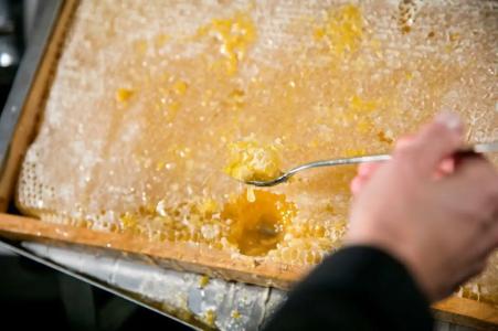 ARCOTEL Rubin - im Szeneviertel St Georg - 84