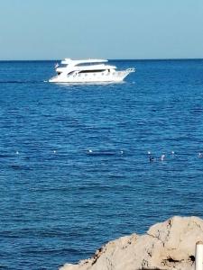 Pickalbatros Royal Grand Sharm - Adults Friendly 16 Years Plus - 88